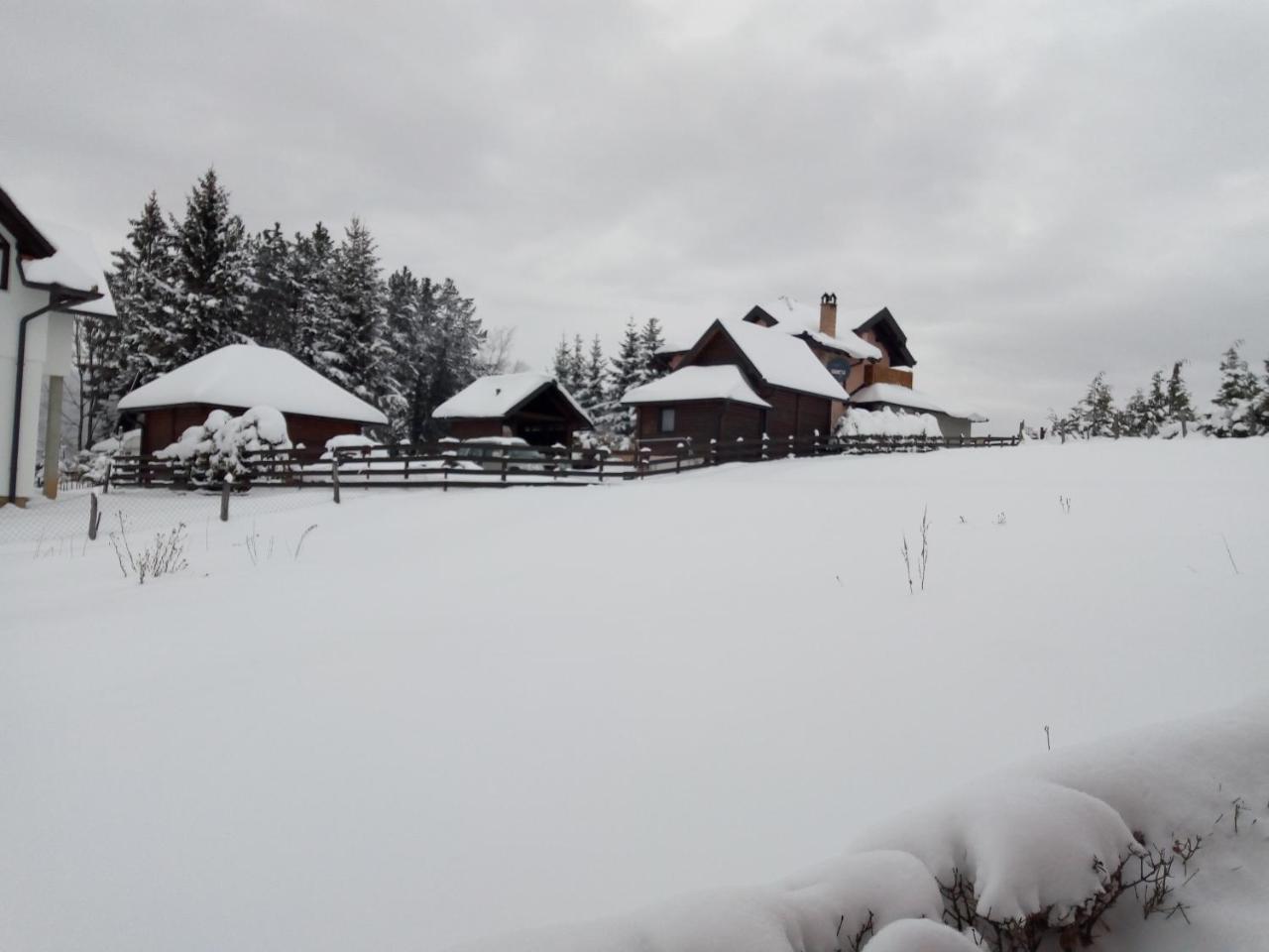 Вилла Vila Dodi Баина-Башта Экстерьер фото